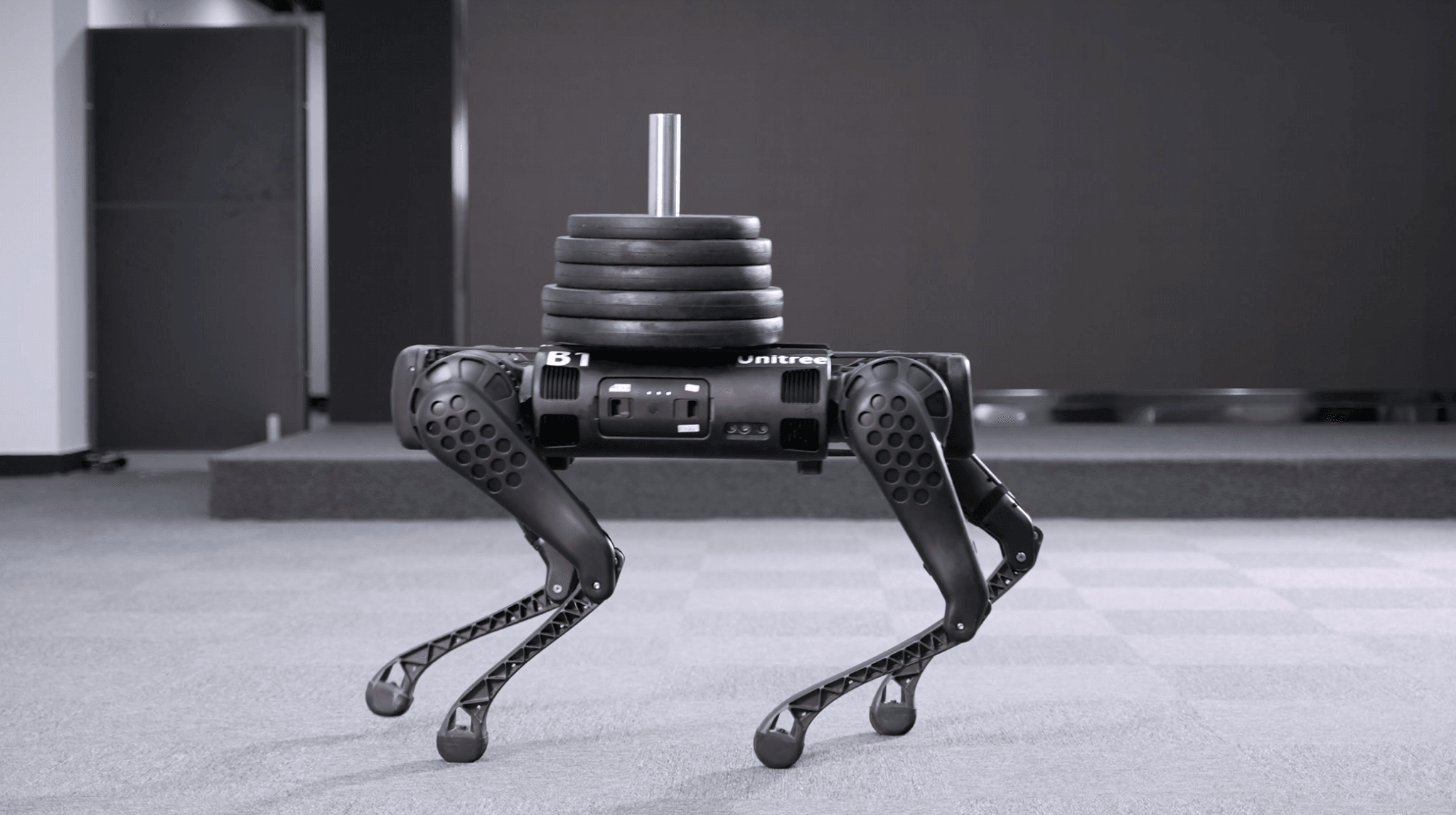 B1 Robot Carrying Load